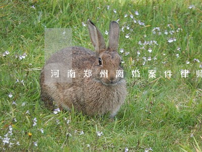 河南郑州离婚案件律师咨询 河南郑州离婚案件律师咨询