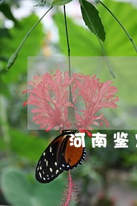 河南鉴定中心几点上班