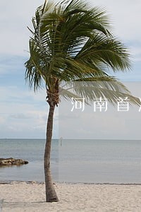 河南首次公开曝光违法用地案 河南首次公开曝光违法用地案