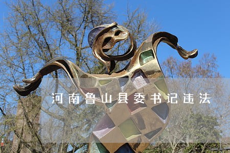 河南鲁山县委书记违法