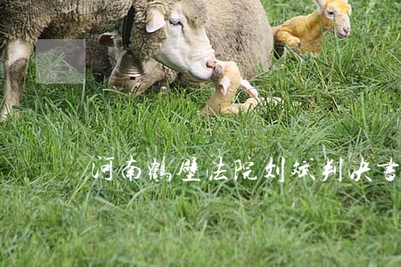河南鹤壁法院刘斌判决书
