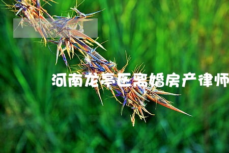 河南龙亭区离婚房产律师 河南龙亭区离婚房产律师
