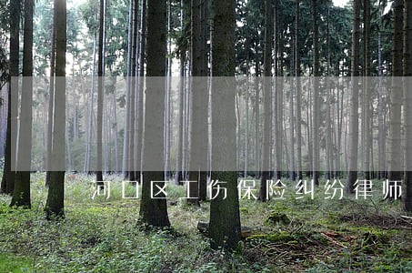 河口区工伤保险纠纷律师 河口区工伤保险纠纷律师