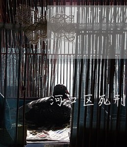 河口区死刑辩护在线律师 河口区死刑辩护在线律师