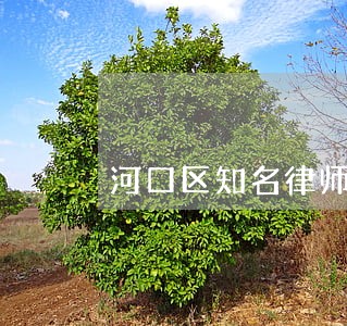河口区知名律师 河口区知名律师