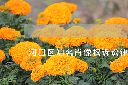 河口区知名肖像权诉讼律师 河口区知名肖像权诉讼律师