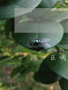河口区调解法律咨询 河口区调解法律咨询