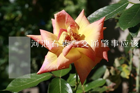 河池右转弯交通肇事应该如何诉讼 河池右转弯交通肇事应该如何诉讼