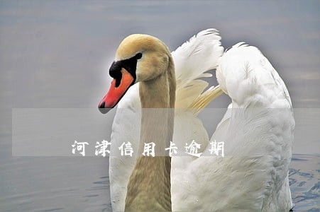河津信用卡逾期 河津信用卡逾期