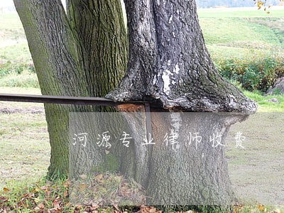 河源专业律师收费 河源专业律师收费