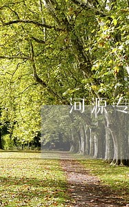 河源专业法律顾问咨询不收费 河源专业法律顾问咨询不收费