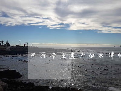 河源专业遗产继承律师 河源专业遗产继承律师