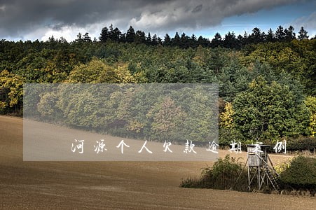 河源个人欠款逾期案例 河源个人欠款逾期案例