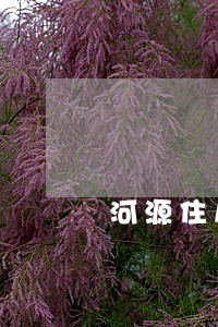 河源住房公积金逾期还款 河源住房公积金逾期还款