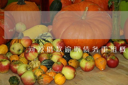 河源借款逾期债务重组概念 河源借款逾期债务重组概念