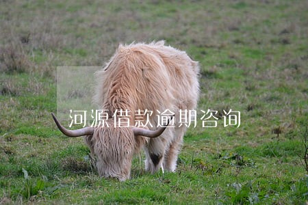 河源借款逾期咨询 河源借款逾期咨询