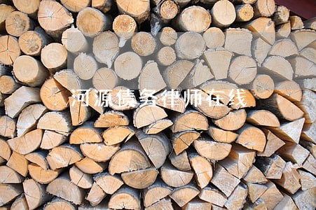 河源债务律师在线 河源债务律师在线
