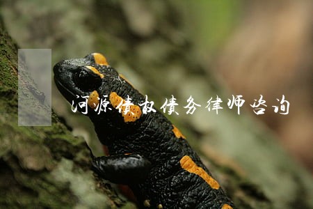 河源债权债务律师咨询 河源债权债务律师咨询