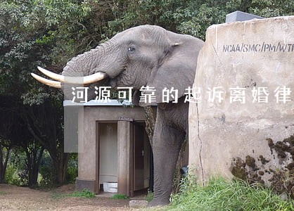河源可靠的起诉离婚律师 河源可靠的起诉离婚律师