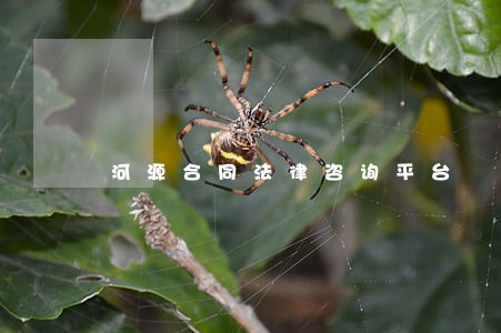 河源合同法律咨询平台 河源合同法律咨询平台