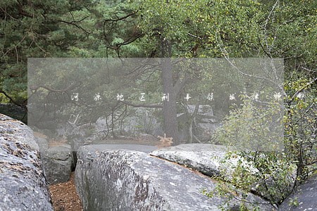河源地区刑事领域律师哪里找 河源地区刑事领域律师哪里找