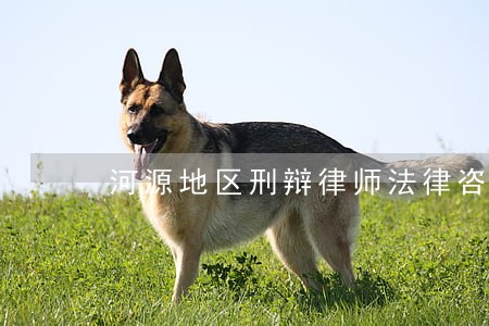 河源地区刑辩律师法律咨询