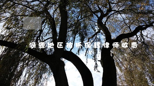 河源地区被抓保释律师收费 河源地区被抓保释律师收费