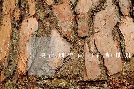 河源市刑事官司律师地址 河源市刑事官司律师地址