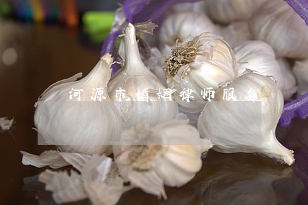 河源市婚姻律师服务 河源市婚姻律师服务