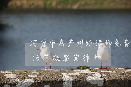 河源市房产纠纷律师免费咨询芜湖南陵县工伤等级鉴定律师