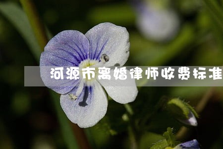 河源市离婚律师收费标准 河源市离婚律师收费标准