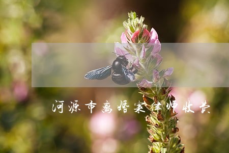 河源市离婚案律师收费 河源市离婚案律师收费