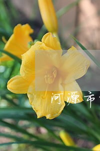 河源市重罪辩护律师收费 河源市重罪辩护律师收费