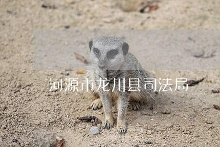 河源市龙川县司法局 河源市龙川县司法局