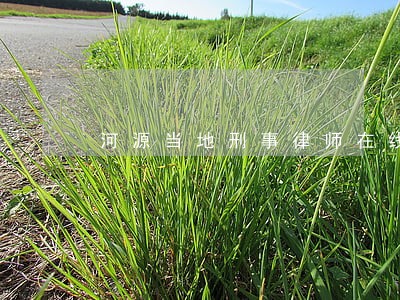 河源当地刑事律师在线欢迎咨询 河源当地刑事律师在线欢迎咨询