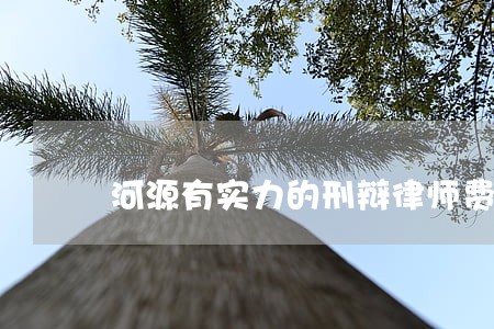 河源有实力的刑辩律师费用标准 河源有实力的刑辩律师费用标准