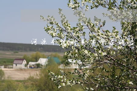河源本地刑事律师在线咨询