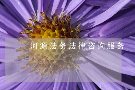 河源法务法律咨询服务 河源法务法律咨询服务