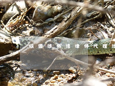 河源涉外法律师代理涉外民事 河源涉外法律师代理涉外民事