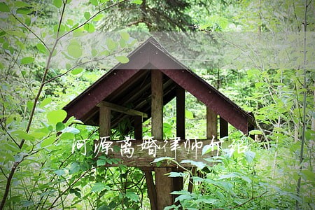 河源离婚律师介绍