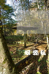 河源私募股权律师免费在线咨询