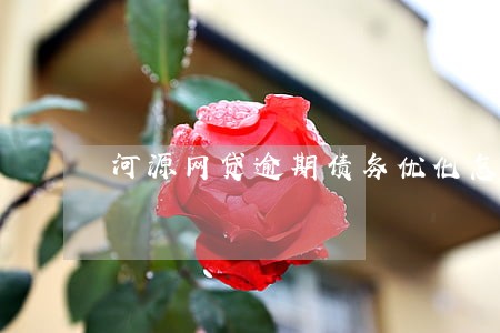 河源网贷逾期债务优化怎么收费 河源网贷逾期债务优化怎么收费