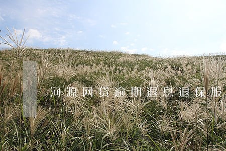 河源网贷逾期退息退保服务费用 河源网贷逾期退息退保服务费用