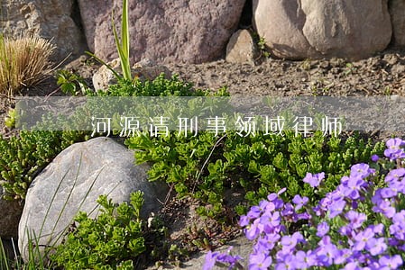 河源请刑事领域律师 河源请刑事领域律师