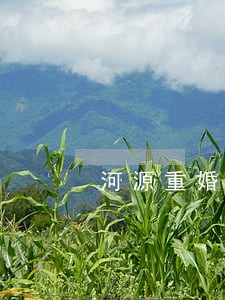 河源重婚案辩护律师收费 河源重婚案辩护律师收费