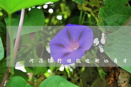 河源银行借款逾期协商方法 河源银行借款逾期协商方法