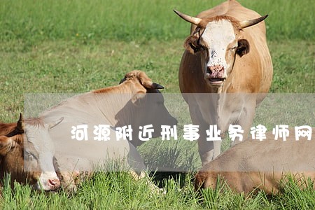 河源附近刑事业务律师网站 河源附近刑事业务律师网站