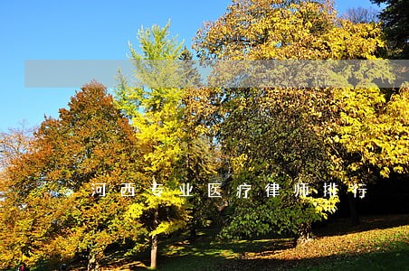 河西专业医疗律师排行 河西专业医疗律师排行
