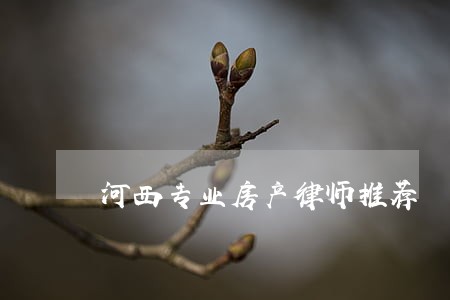 河西专业房产律师推荐 河西专业房产律师推荐