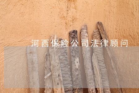 河西保险公司法律顾问 河西保险公司法律顾问